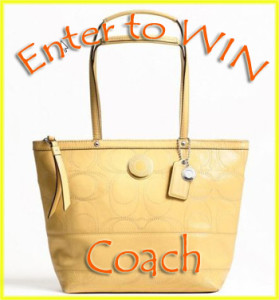 Coach Purse