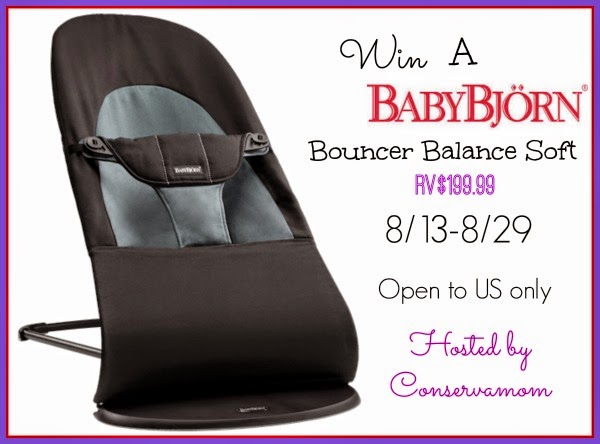 baby bjorn bouncer review