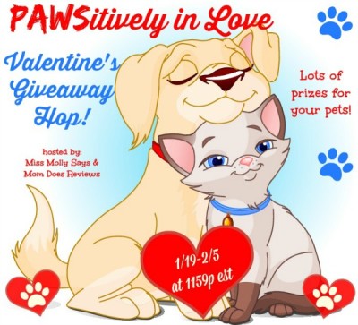 pets in love