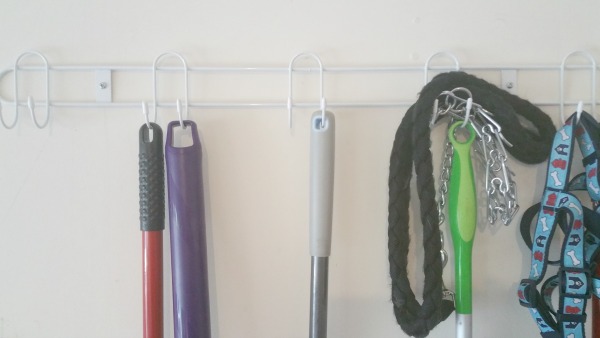organization