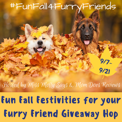 fall fun hop