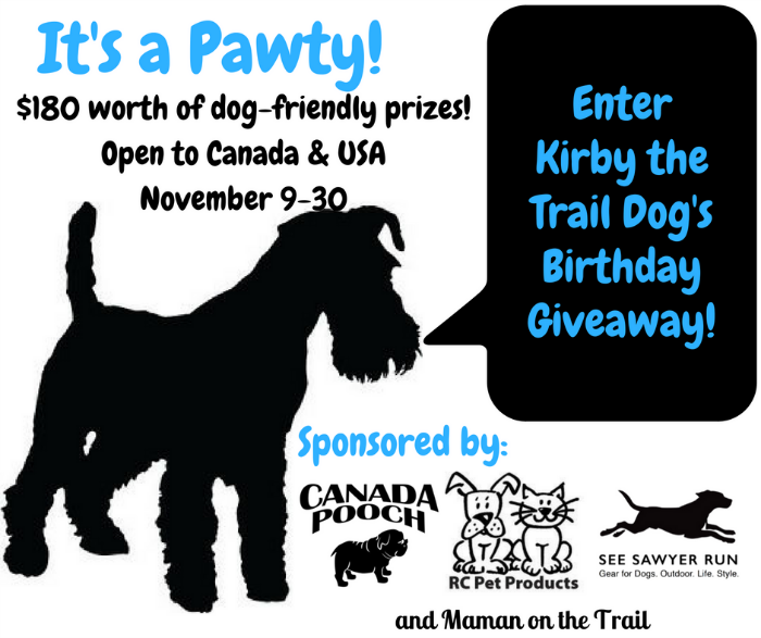 dog giveaway