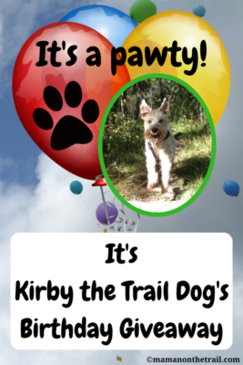 giveaway for dogs