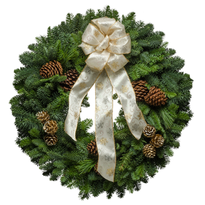 christmas forest