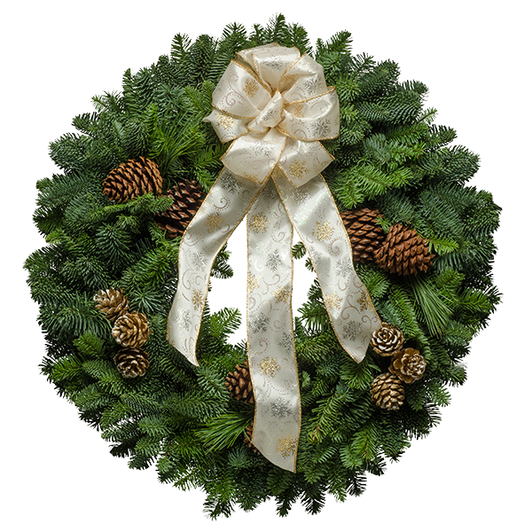 christmas forest