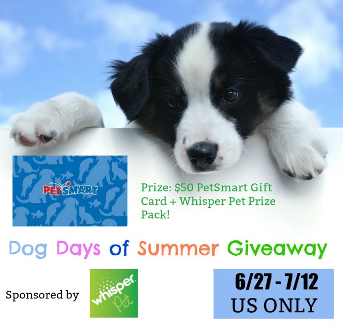 petsmart giveaway