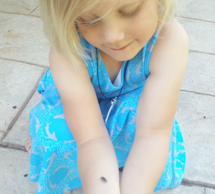 shark week shark dress