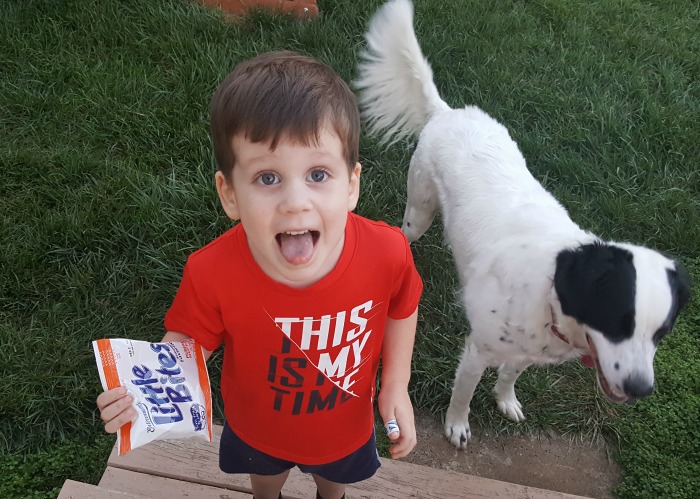 little bites limited edition