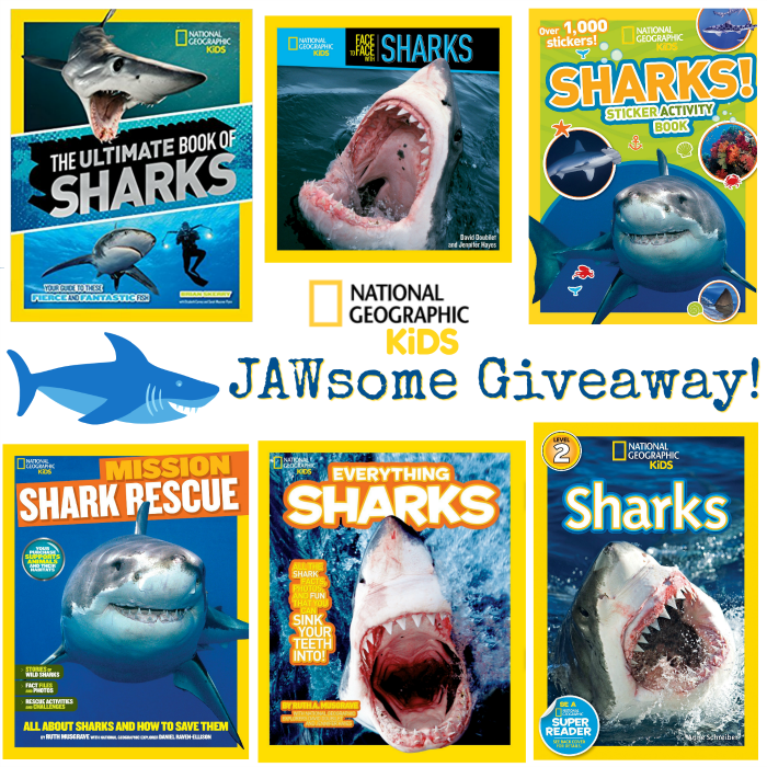 Dive In And Explore The FINTASTIC World Of Sharks With National