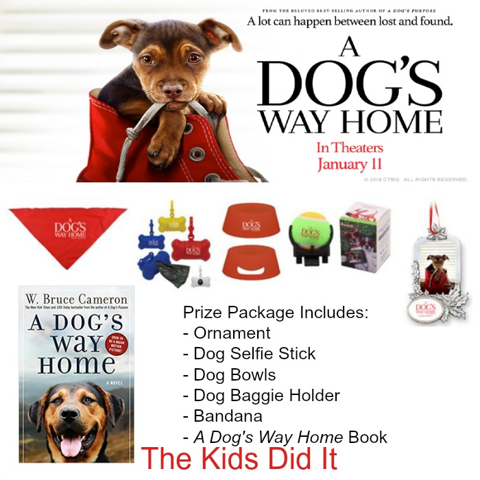 A dog's way home giveaway