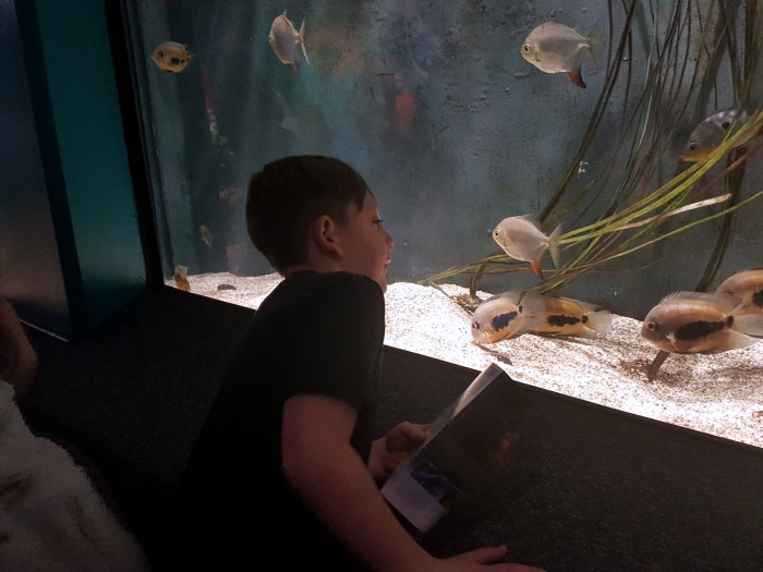 aquariums in Kentucky